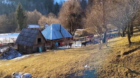 E solidaritatea care contează: Avem în Maramureș o familie care dorește acum sprijinul iubitor al inimoșilor! Susținere căutăm, pentru 7 din copii!