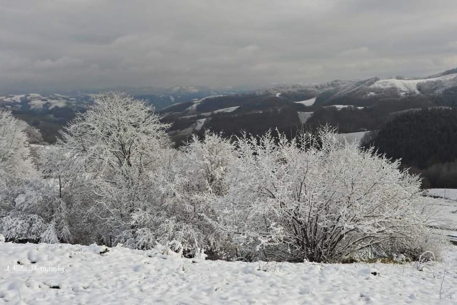 Vremea exactă în Maramureș, sâmbătă, 3 decembrie