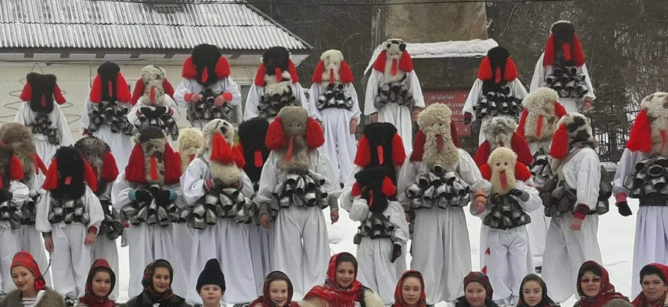 Se apropie iar vremea brondoșilor; Unde îi veți putea vedea