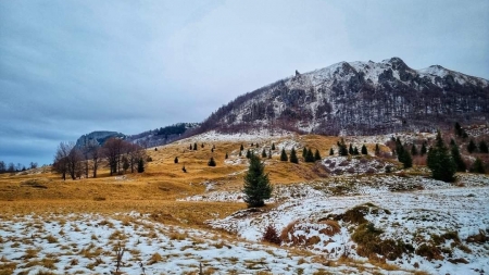 Vremea exactă în Maramureș, joi, 12 ianuarie