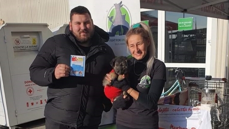 Un succes al Asociației Fight For Animals: Două adopții dar și o cantitate impresionantă de hrană colectată, acum, destinată pisicilor și câinilor!
