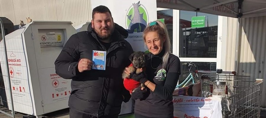 Un succes al Asociației Fight For Animals: Două adopții dar și o cantitate impresionantă de hrană colectată, acum, destinată pisicilor și câinilor!