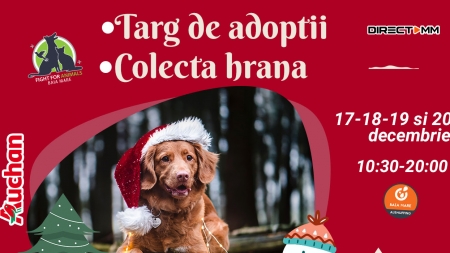 Adoptă iubirea de Crăciun: Fight For Animals Baia Mare, activa asociație care susține prietenii blănoși, are acțiunea de adopții, colectă de hrană!