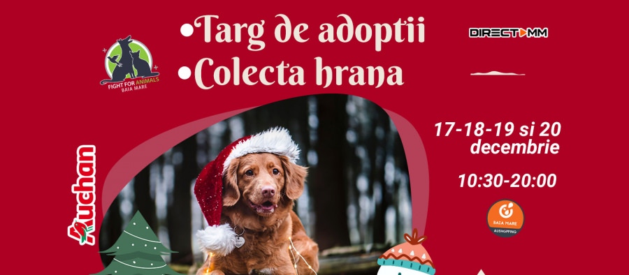Adoptă iubirea de Crăciun: Fight For Animals Baia Mare, activa asociație care susține prietenii blănoși, are acțiunea de adopții, colectă de hrană!