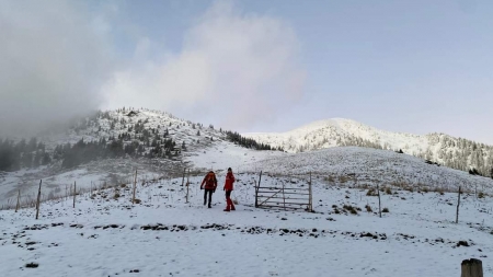 Actualizare! Crăciun foarte lung la frontiera Maramureșului: 2 cetățeni ucraineni, extrași de forțele speciale! Încă 4, căutați acum de responsabili!