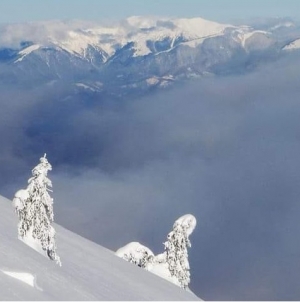 Iarna pune stăpânire pe Maramureș cu ninsori, lapoviță și vânt puternic în următoarele zile