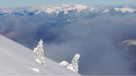 Iarna pune stăpânire pe Maramureș cu ninsori, lapoviță și vânt puternic în următoarele zile