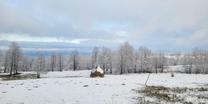 Vremea exactă în Maramureș, vineri, 3 februarie