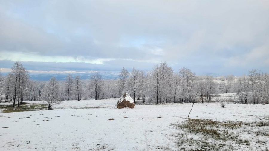 Meteo 14 zile Estimări: Vremea în aria din Maramureș încă se va menține apropiată multianualelor, cu ninsoare! Iată statistica specială în vigoare!