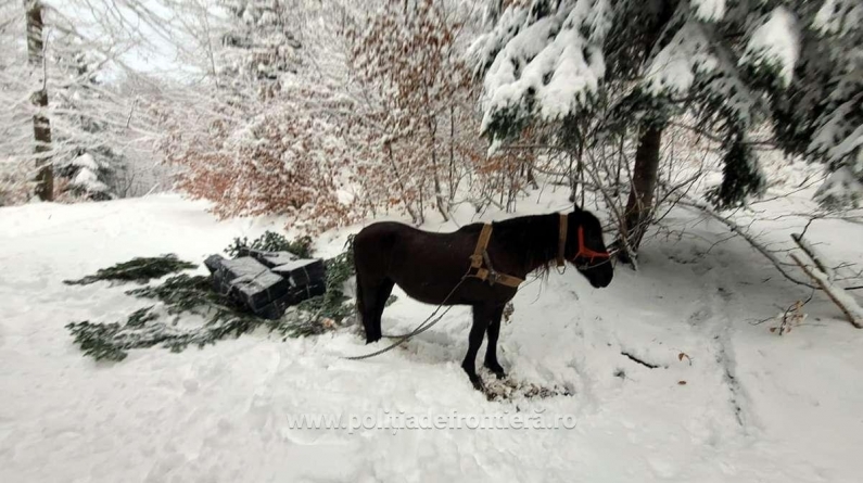 Contrabandă cu calul la Valea Vișeului; S-a lăsat și cu împușcături
