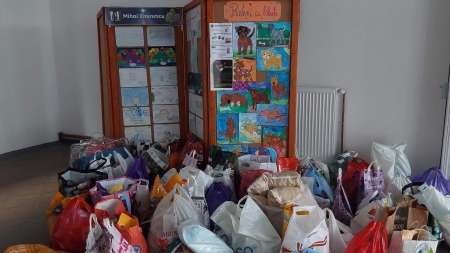 Elevii băimăreni s-au alăturat campaniei „Prieteni cu lăbuțe”
