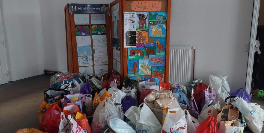 Elevii băimăreni s-au alăturat campaniei „Prieteni cu lăbuțe”