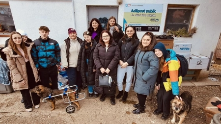 Mesaj destinat celor care iubesc micile animale: Apelul superb scris de o tânără băimăreancă! „Dacă le iubești, vino la activități de voluntariat”!