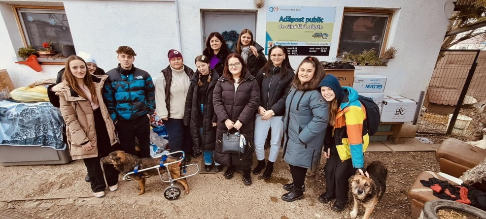 Mesaj destinat celor care iubesc micile animale: Apelul superb scris de o tânără băimăreancă! „Dacă le iubești, vino la activități de voluntariat”!