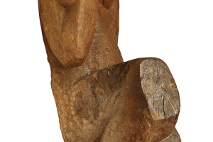 1973 Fata pădurii MJACABM