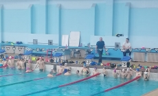 Sportivii AS Flykick Baia Mare au obținut rezultate foarte bune la Etapa Regională a Campionatelor Naționale la Înot pentru copii de 10-11 ani