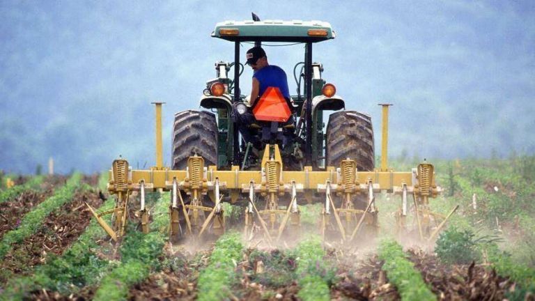 Din 1 martie 2023: Pentru fermierii maramureșeni, anunț important cu privire la cererea unică, de plată, la APIA! Noutăți esențiale în procedură!