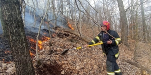 Bilanțul flăcărilor de lângă municipiul Baia Mare!