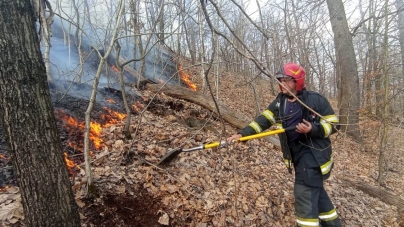 Bilanțul flăcărilor de lângă municipiul Baia Mare!