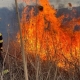 Weekend cu 14 incendii în Maramureș; A rezultat o victimă și multe pagube materiale