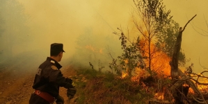 Aceeași poveste din fiecare primăvară în Maramureș: Vremea frumoasă de primăvară aduce creștere semnificativă a incendiilor! Apel de la autorități!