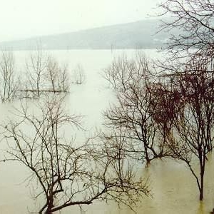 Cod Galben și Cod Portocaliu de inundații, în Maramureș