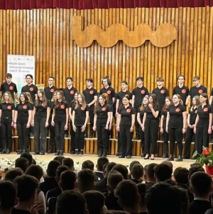 Rezultate frumoase ale elevilor Colegiului de Arte Baia Mare la olimpiada de interpretare instrumentală, faza pe regiune, desfășurată în Maramureș!