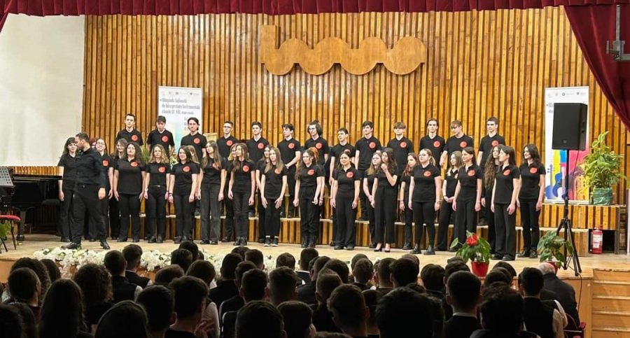 Rezultate frumoase ale elevilor Colegiului de Arte Baia Mare la olimpiada de interpretare instrumentală, faza pe regiune, desfășurată în Maramureș!