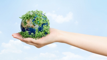 Ce este neutralitatea climatică și cum poate fi obținută la nivelul UE