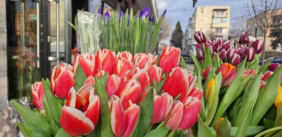Meteo 14 zile Estimări: Vremea în aria din Maramureș, de Florii, se menține apropiată, de mediile multianuale! Iată statistica specială în vigoare!