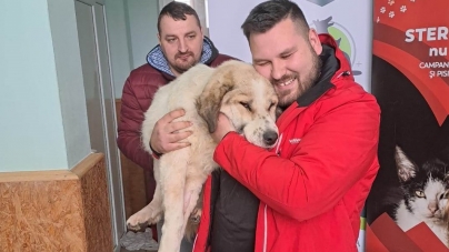 În acțiunea nr 7: Fight For Animals Baia Mare, activa asociație care susține prietenii blănoși, a sterilizat total 225 pisici și câini, în Lăpușel!