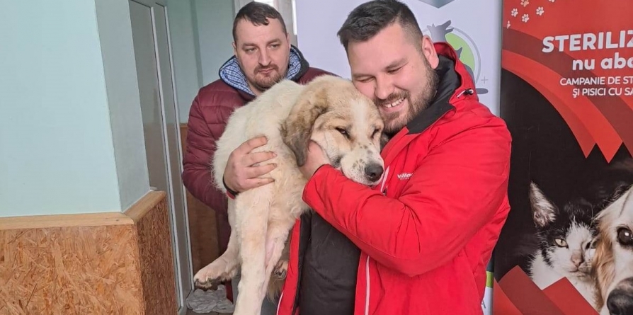 În acțiunea nr 7: Fight For Animals Baia Mare, activa asociație care susține prietenii blănoși, a sterilizat total 225 pisici și câini, în Lăpușel!