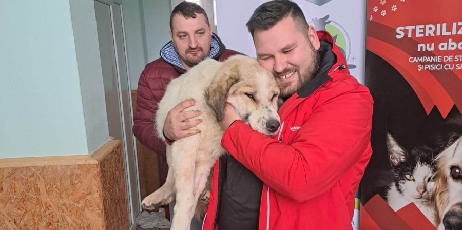 Asociația Fight For Animals Baia Mare derulează o importantă campanie de sterilizare gratuită în două localități