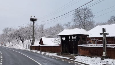 Iarnă autentică de aprilie în tot Maramureșul: Strat semnificativ de zăpadă, ninsori însemnate cantitativ! Coduri portocaliu și galben, în vigoare!