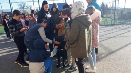 Lecții captivante pentru elevi cu polițiștii maramureșeni!