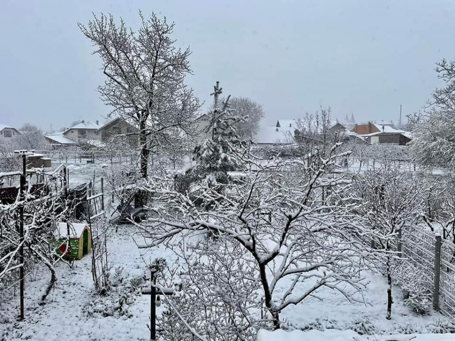 Vremea exactă în Maramureș, luni, 11 decembrie