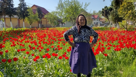 Mica Olandă din Chechiș: O maramureșeancă are în curtea casei mii de lalele