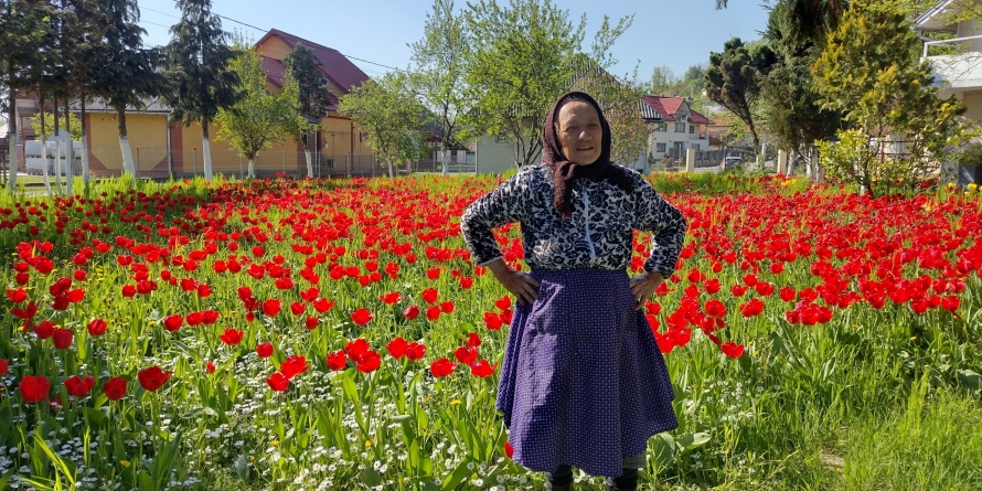 Mica Olandă din Chechiș: O maramureșeancă are în curtea casei mii de lalele