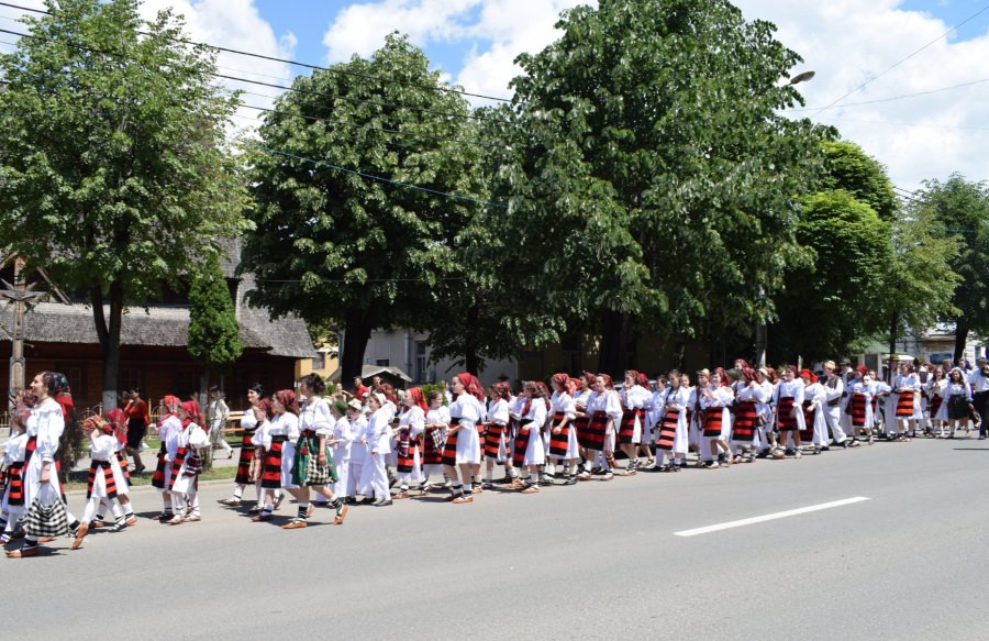 În Vișeu de Sus se va desfășura Festivalul Național de Literatură și Folclor „Armonii de primăvară”