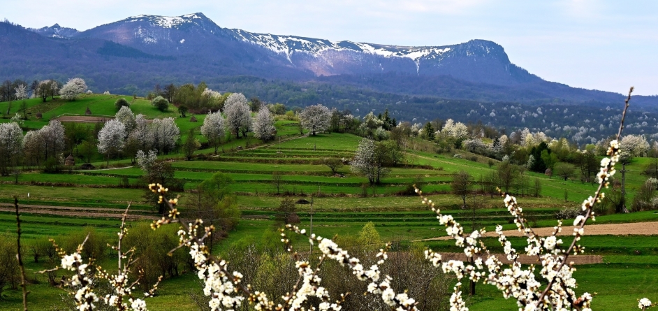 Eco Maramureș a câștigat premiul special „Destinații în ascensiune” în cadrul competiției „Destinația anului 2023”