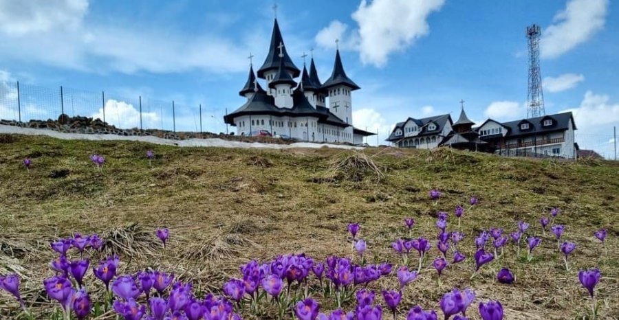 Un regal al naturii: Treptat, în aria montană maramureșeană, se vede, în imagini superbe, cum se instalează primăvara! Munții Rodnei prind culoare!
