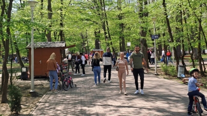 Clasament Google: Parcul „Regina Maria” Baia Mare, în topul național realizat de internauții români, cu privire la spațiile pentru recreere în țară