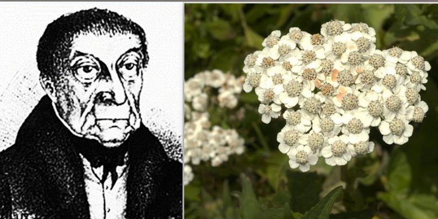 Medicul personal al Guvernatorului Samuel von Bruckenthal și cercetările sale floristice făcute la Băiuț în vara anului 1798
