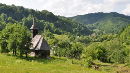 Topul localităților cu populație mică din Maramureș: Un cătun are acum doar 13 locuitori; Sub pragul 100, în total sunt 12 localități ale județului