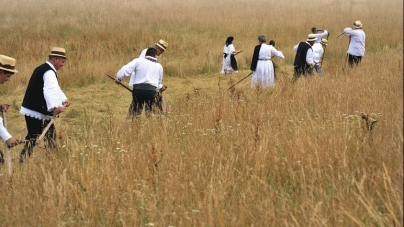 Se va face clacă de coasă în Groși