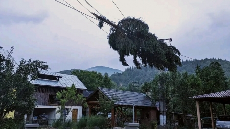 Arbori căzuți și aruncați peste cabluri: Maramureșul, afectat serios de vijelii; 29 localități maramureșene, cu probleme, la alimentarea cu energie
