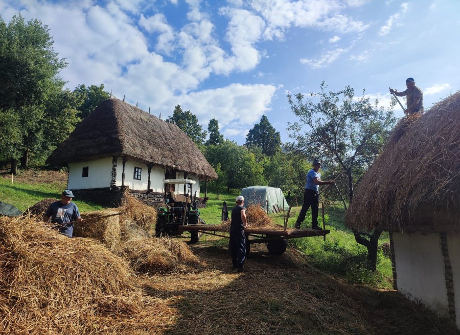 Muzeul Satului Baia Mare: Se restaurarează acoperișul Casei Cărpiniș, dar și cel al Casei Cicârlău