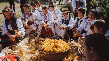 La Rogoz va avea loc o clacă de desfăcat mălai