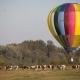 Maramureș Balloon Fiesta: Festivalul baloanelor cu aer cald are loc în acest weekend