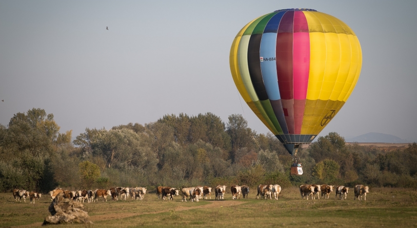 Maramureș Balloon Fiesta: Festivalul baloanelor cu aer cald are loc în acest weekend